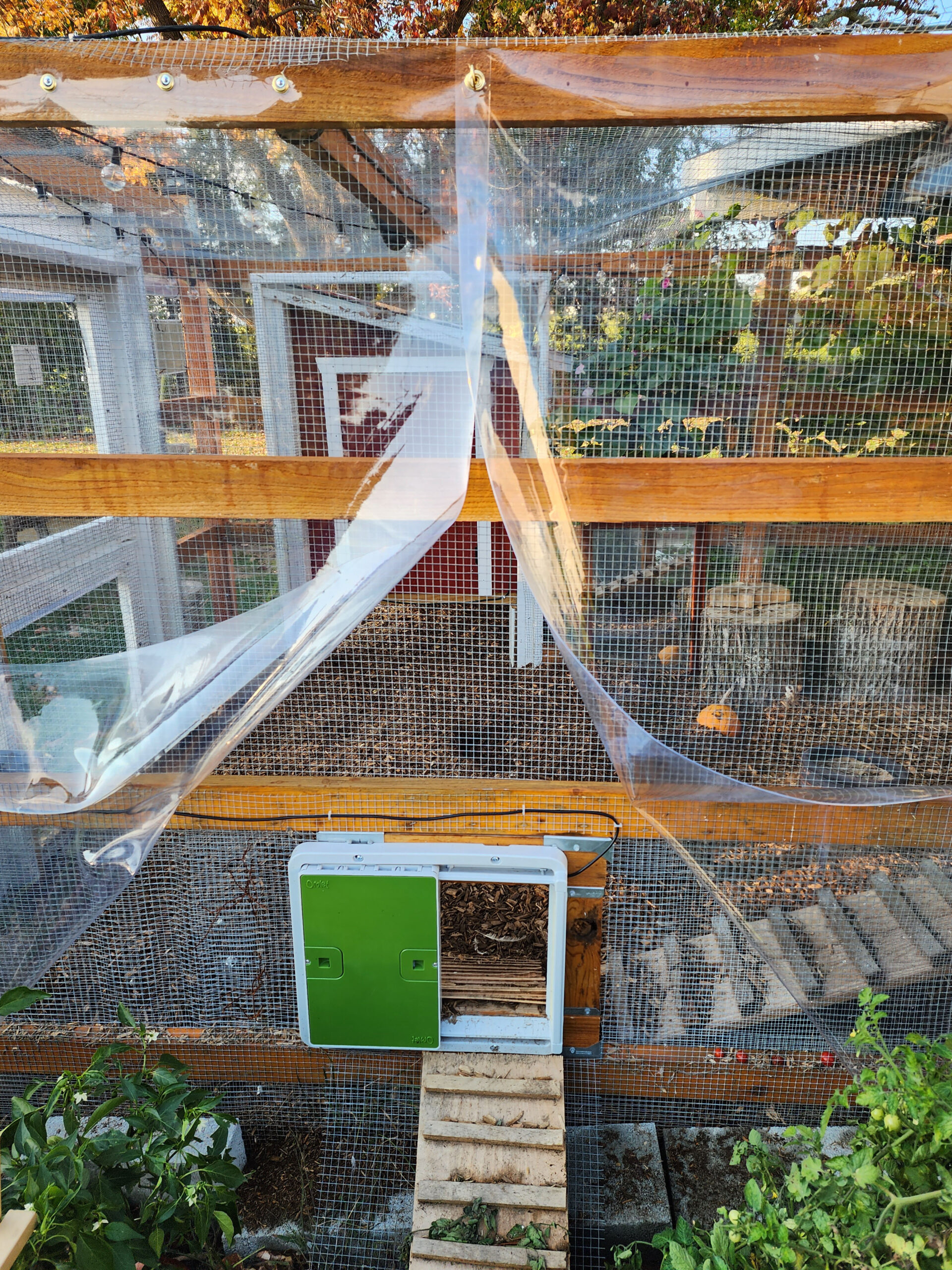 Winter Chicken Coop Preparation