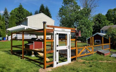 DIY Chicken Run build – part 1