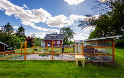 DIY Chicken Coop & Run Build – Part 2